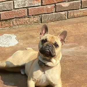 Meet your Posher, Bob